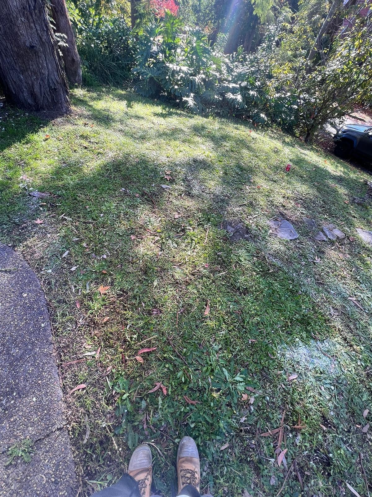 Backyard Waste — after