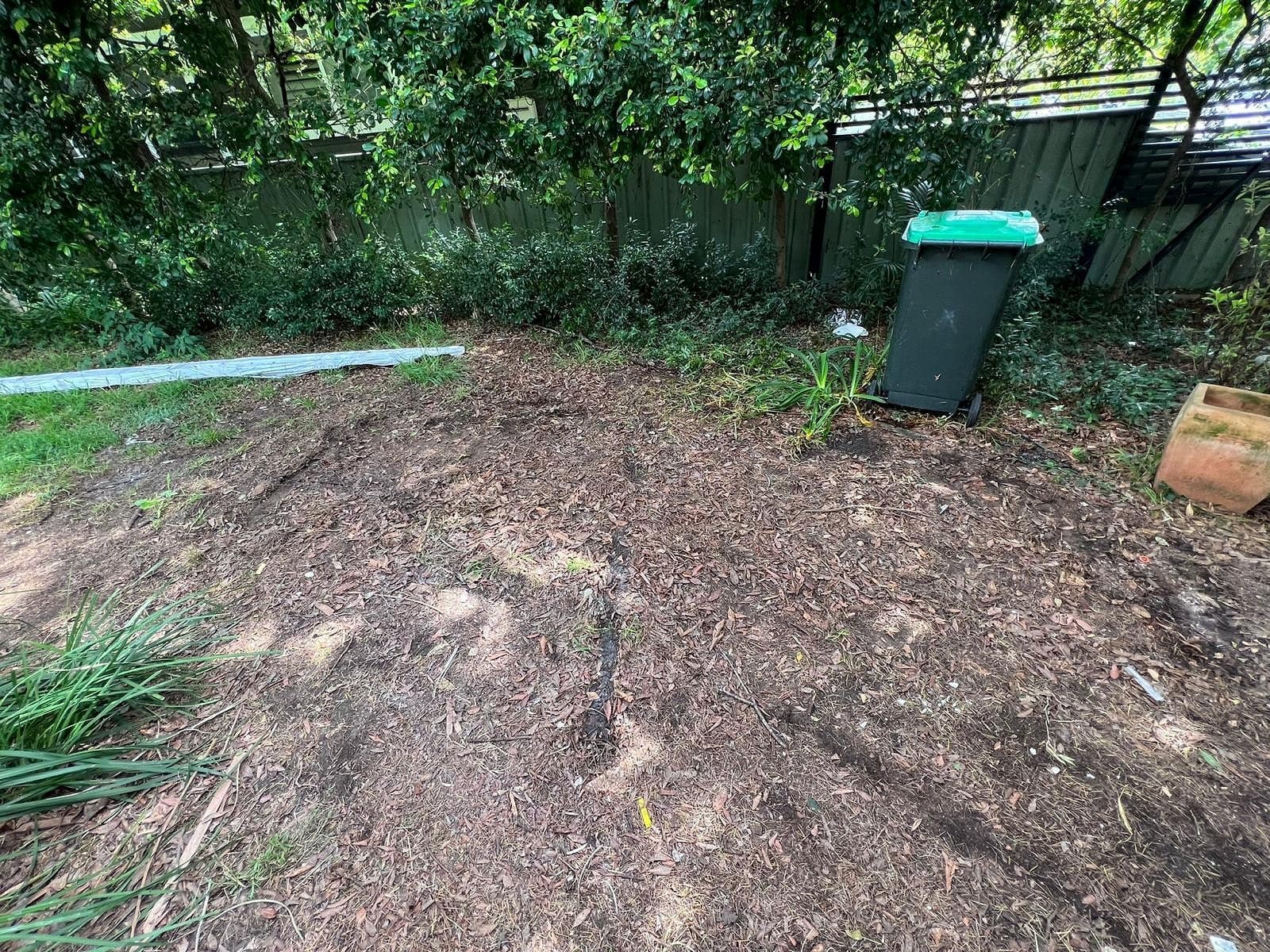 Shed Stripout — after