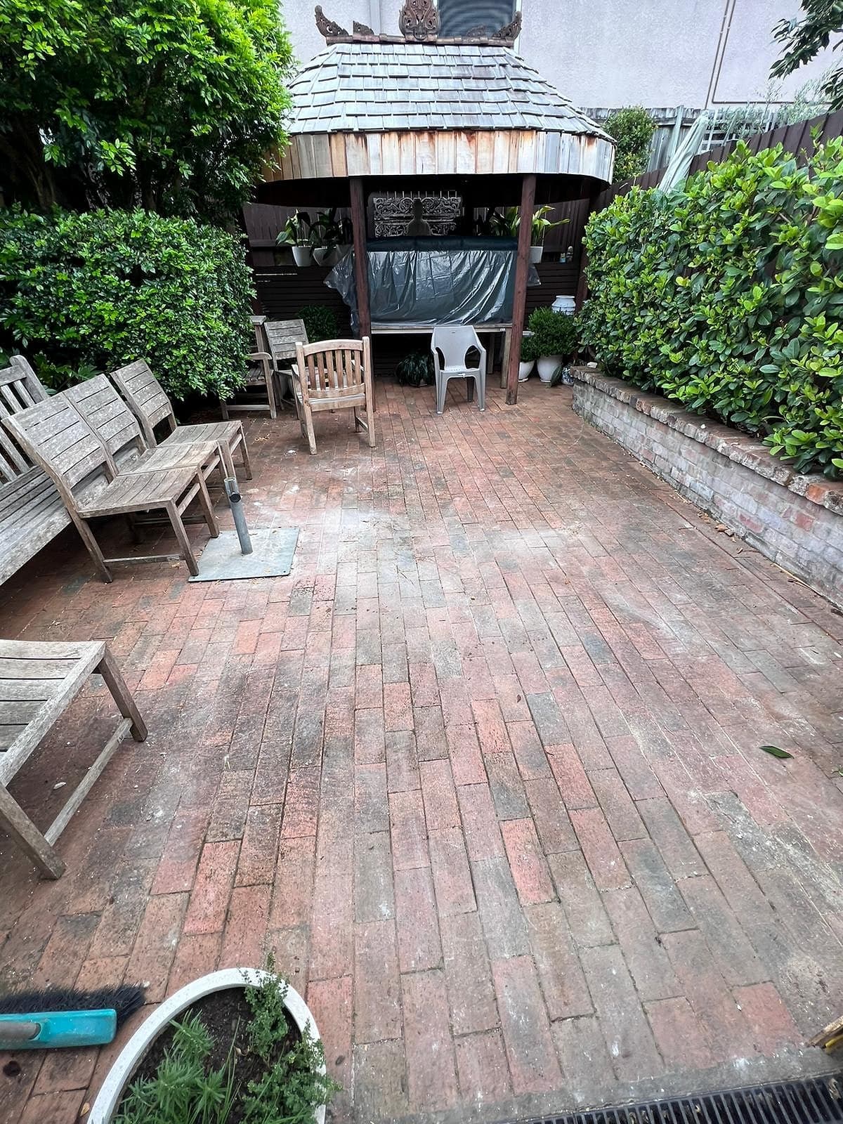 Backyard Improvements — after