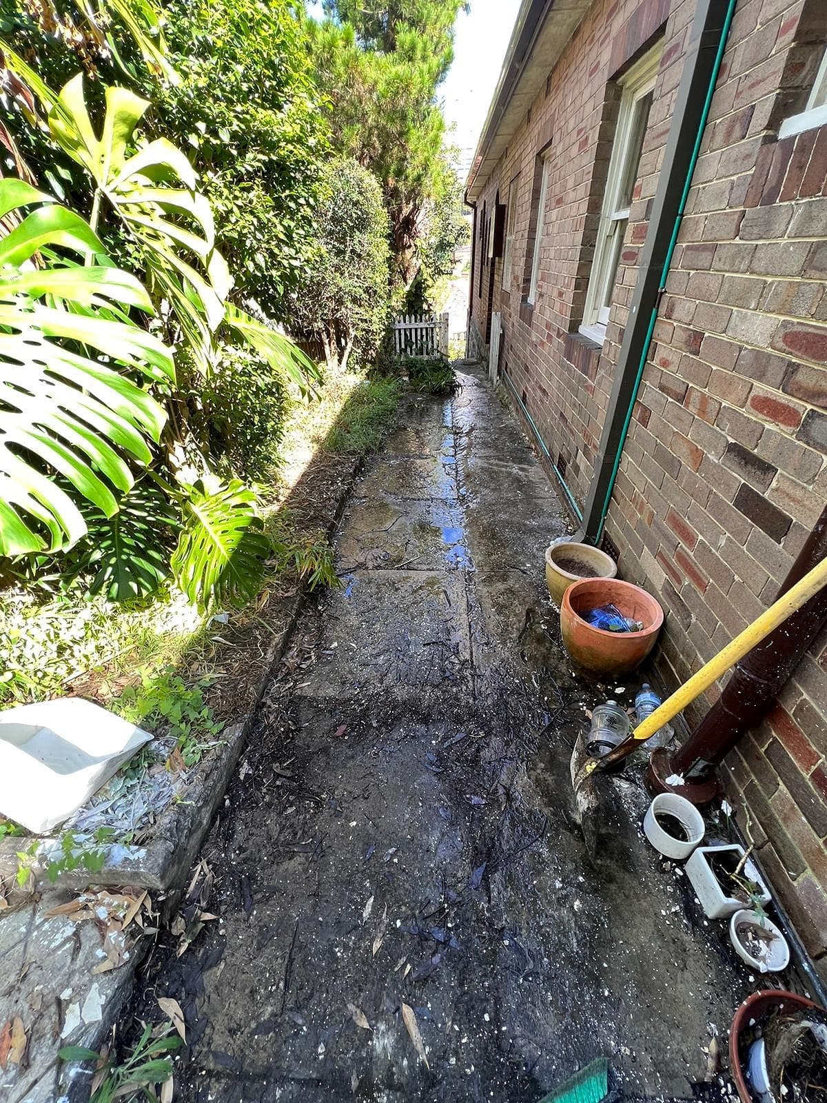 Garden Cleanup — after