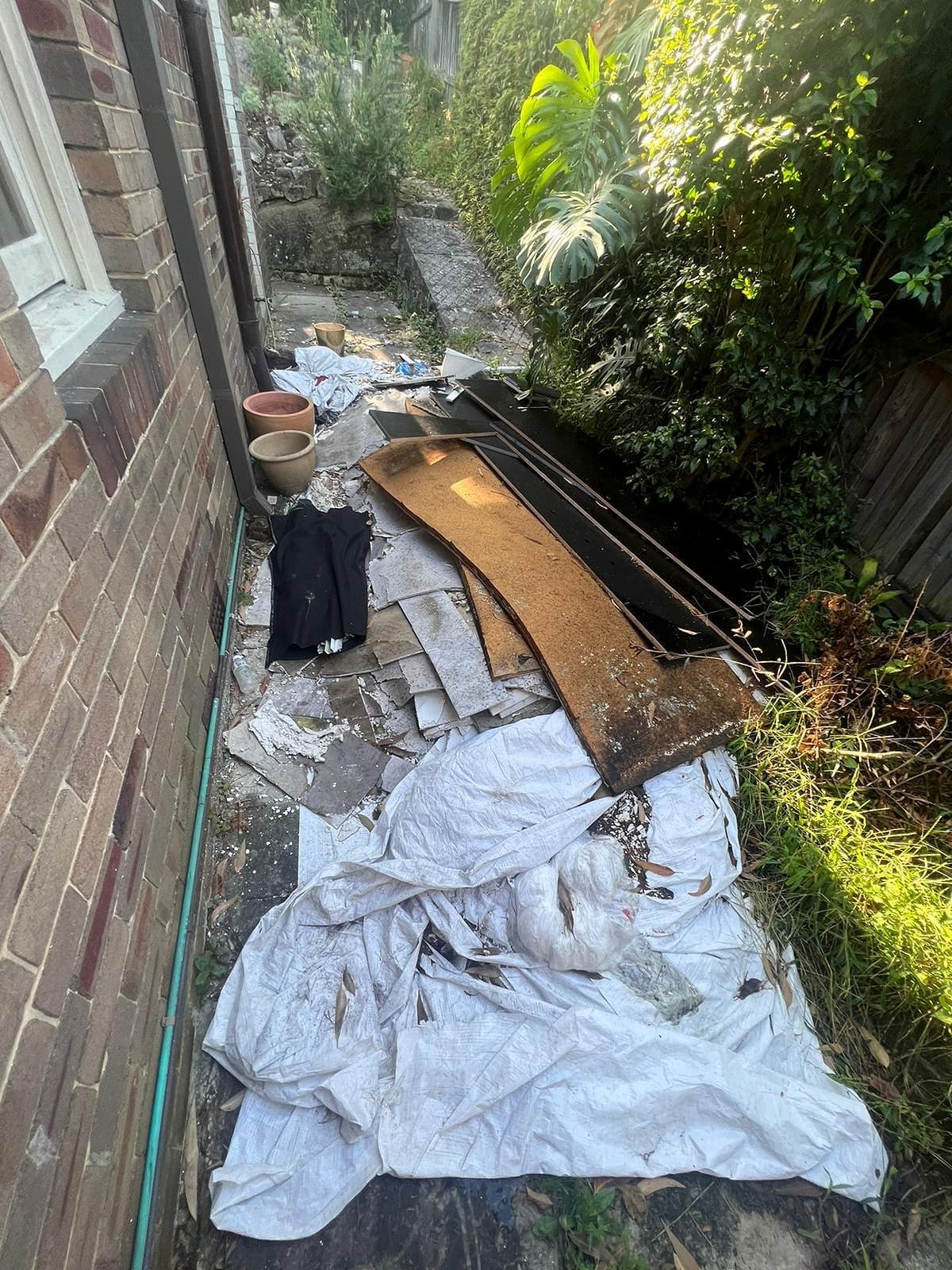 Garden Cleanup — before